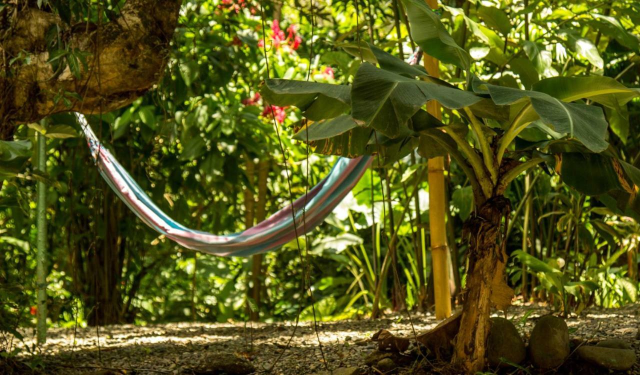 Casa Tucanes Manuel Antonio Kültér fotó